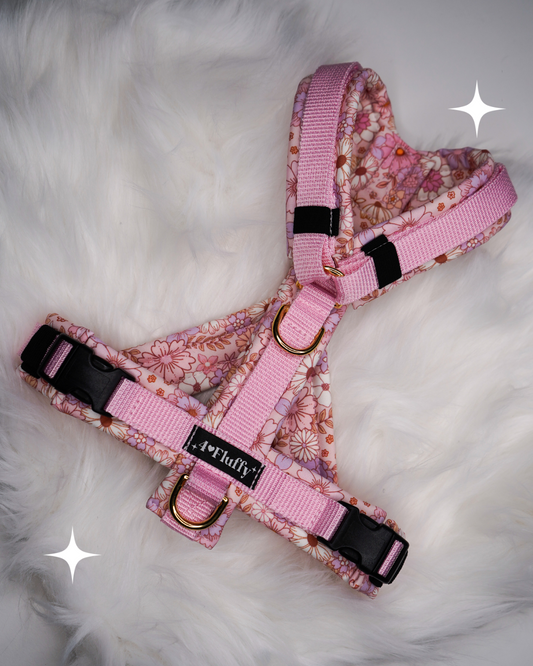 Hundegeschirr - KirschBlüten / Premium