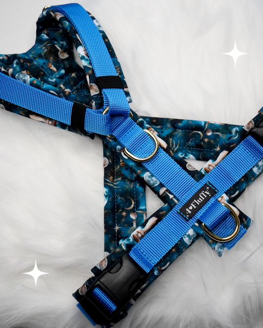 Hundegeschirr - ZauberWald