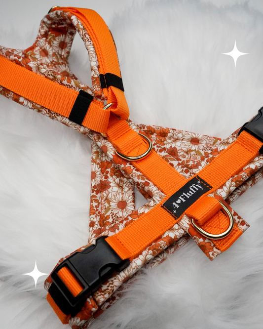 Hundegeschirr - HerbstBlumen