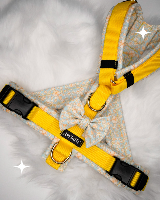 Hundegeschirr - LittleSunshine