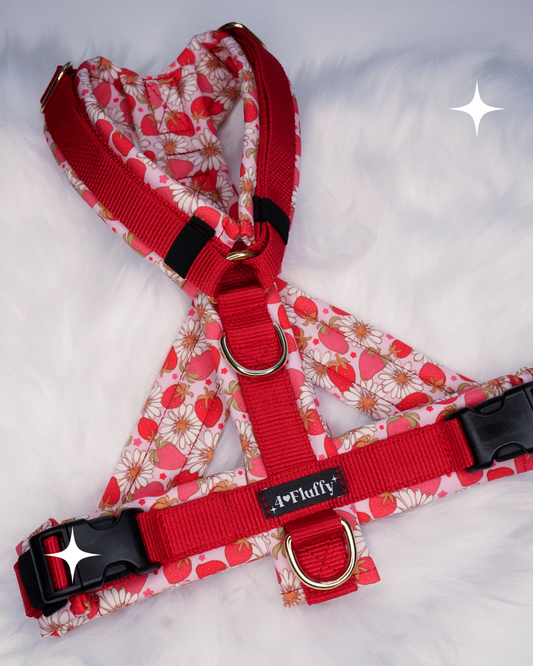 Hundegeschirr - ErdbeerGlück / Premium