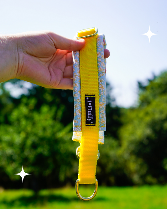 Halsbänder mit Zugstop