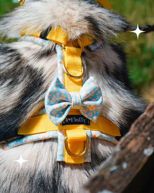 Schleife für Hundegeschirr