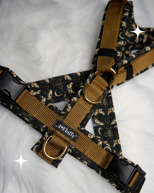 Hundegeschirr - LunaWings / Premium