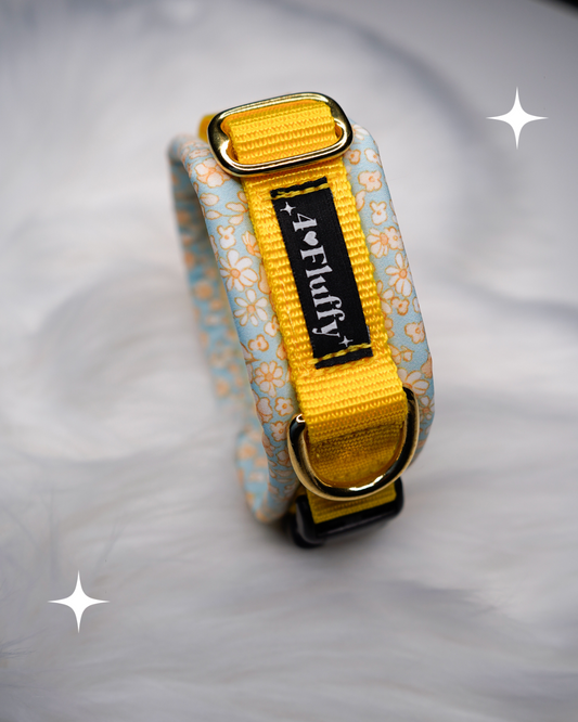 Halsbänder mit Klickverschluss