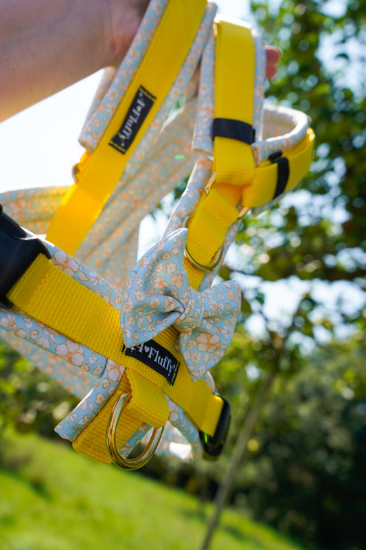 Hundegeschirr - LittleSunshine