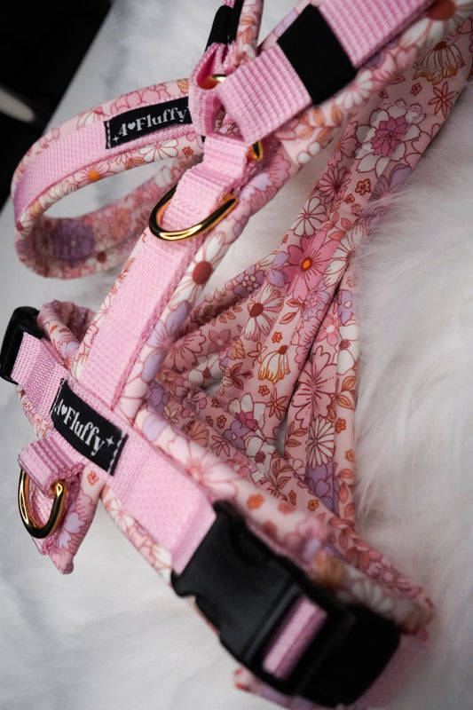 Hundegeschirr - KirschBlüten / Premium