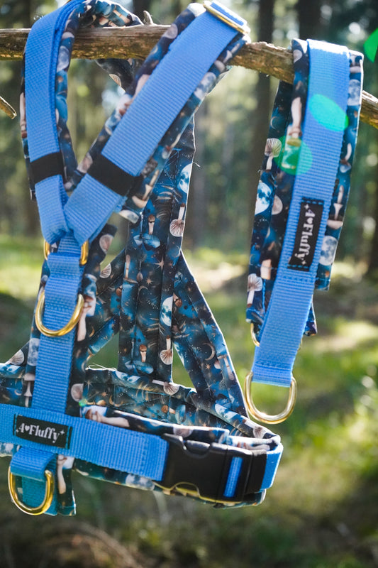 Hundegeschirr - ZauberWald