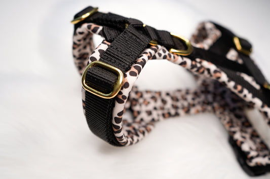 Hundegeschirr - BlackLeo
