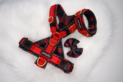 Santa Fluffy - LIMITED EDITION