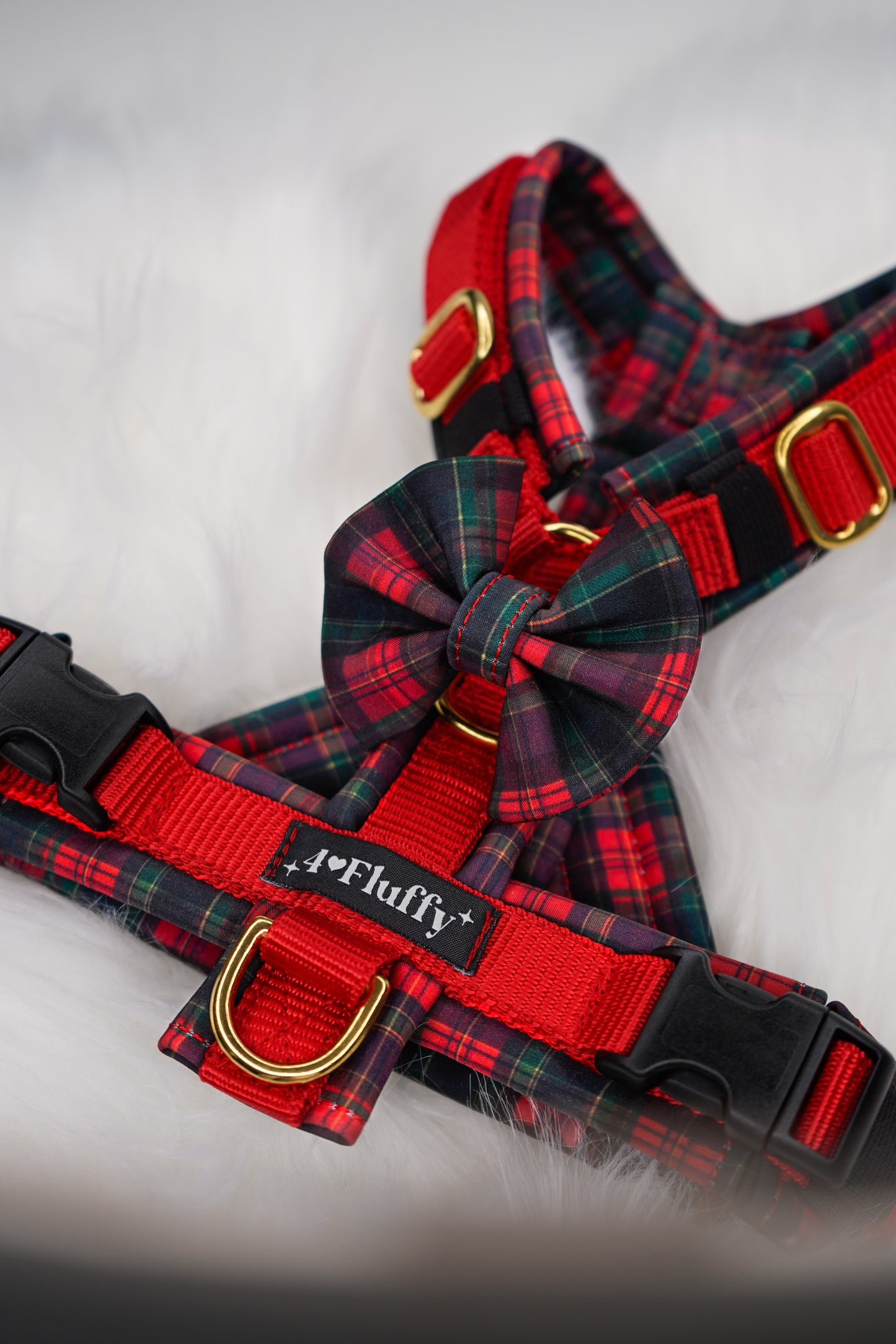 Santa Fluffy - LIMITED EDITION