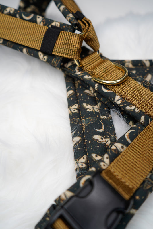 Hundegeschirr - LunaWings / Premium