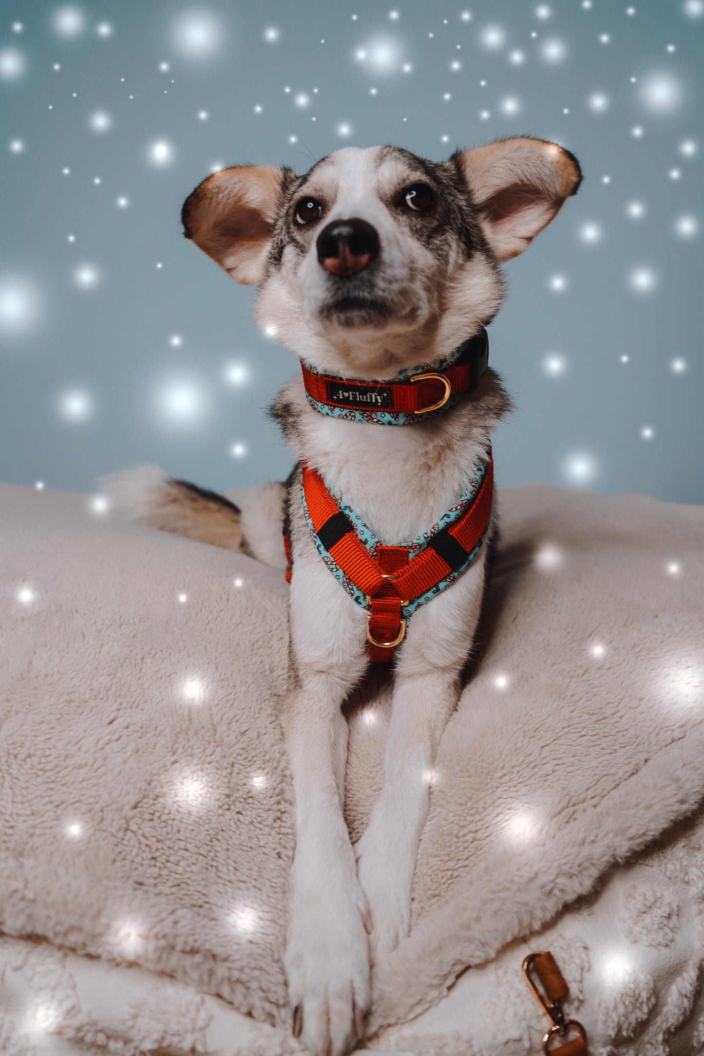 Candy Christmas / Rot - LIMITED EDITION