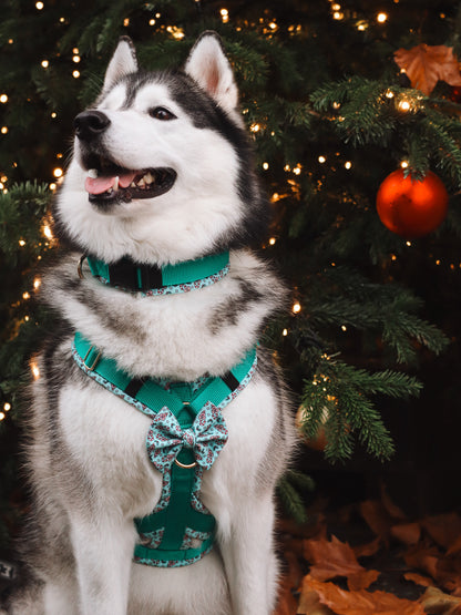 Candy Christmas / Leuchtenes grün - LIMITED EDITION