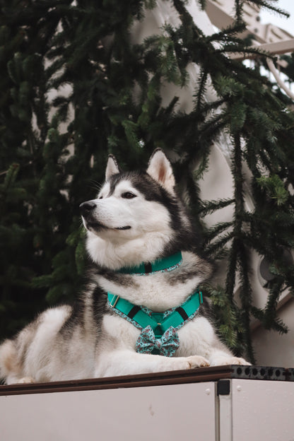 Candy Christmas / Leuchtenes grün - LIMITED EDITION